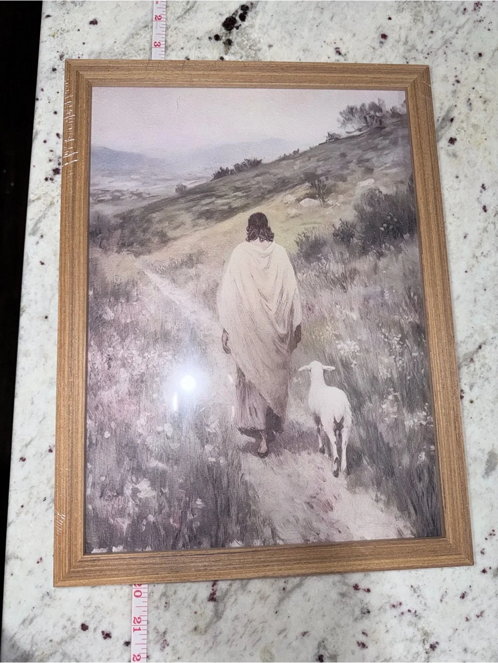 Jesus and Lamb Wall Art